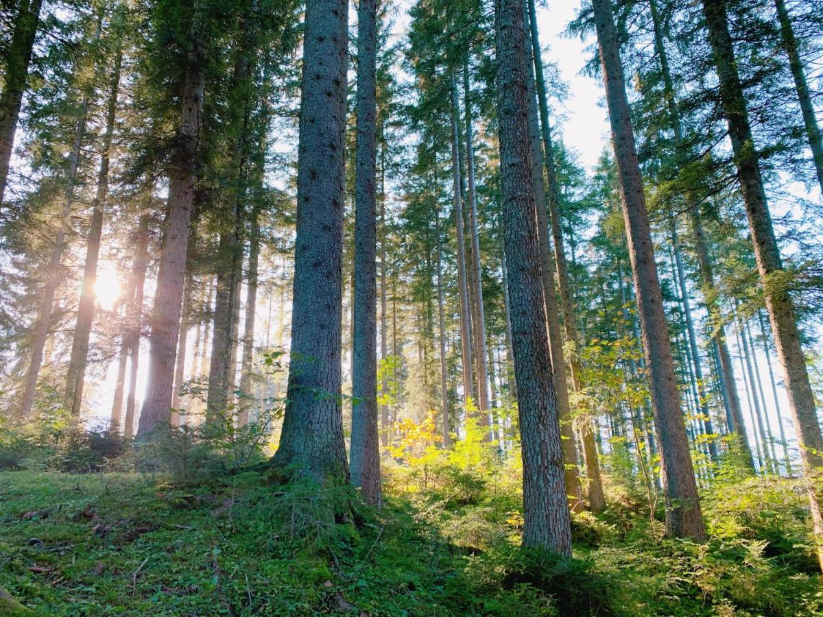Ausseerhaus Im Gruenen Aussere Kainisch Extérieur photo